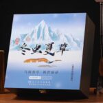 鮮蟲草禮盒-每條約0.5克 (每盒約50克)